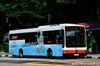 Thumbnail: SMB3C — A Mercedes-Benz OC500LE single-deck bus, pictured carrying a Colgate advertisement, serving commuters on service 67 under current bus operator SMRT Buses in August 2014.